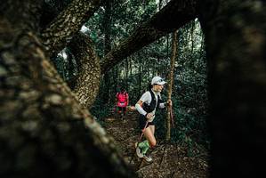 BIB: 
                            <button type="button" onclick="openModal(25666708)" class="btn btn-primary btn-sm float-right btn-popup" data-toggle="modal" data-target=".modal-high-quality">
                        <i class="fas fa-shopping-cart"></i> Add to Cart
                    </button>
                                            <button type="button" onclick="isThisMe(25666708, true)" class="btn btn-success btn-sm float-right btn-popup btn-isme hidden" data-toggle="tooltip" data-placement="bottom" title="นี่คือรูปของคุณใช่ไหม คลิกที่นี่เพื่อเอาเข้าอัลบั้ม">
                        <i class="fas fa-plus"></i> Add to album
                    </button>
                    <button type="button" onclick="isThisMe(25666708, false)" class="btn btn-warning btn-sm float-right btn-popup btn-isnotme hidden">
                        <i class="fas fa-ban"></i> Remove from album
                    </button>